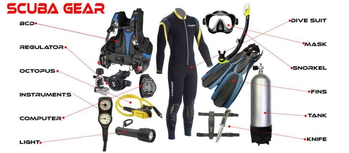 Gear Reviews: Wetsuits vs. Rashguards — What To Wear in Tropical Dives